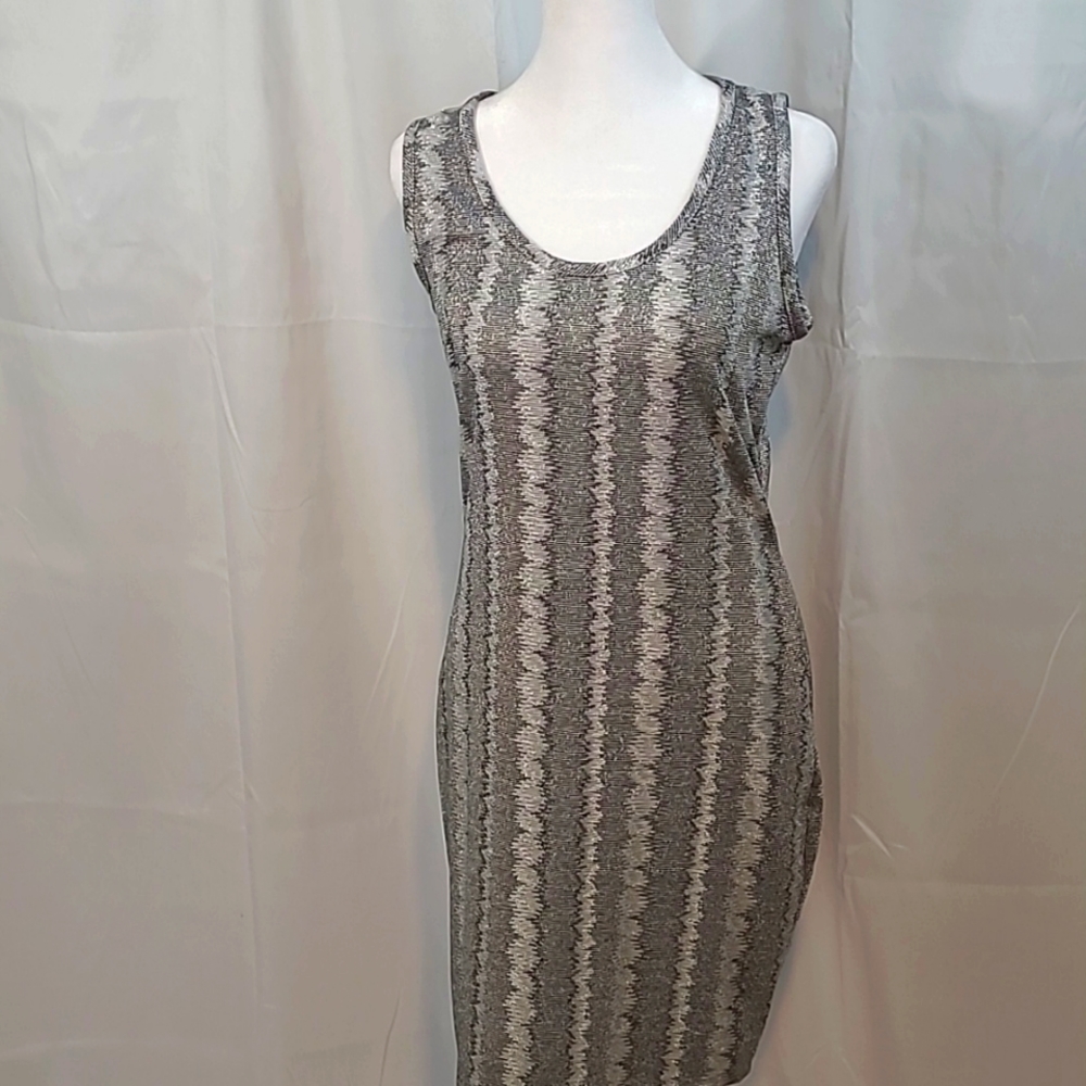 Discreet Women's Dress